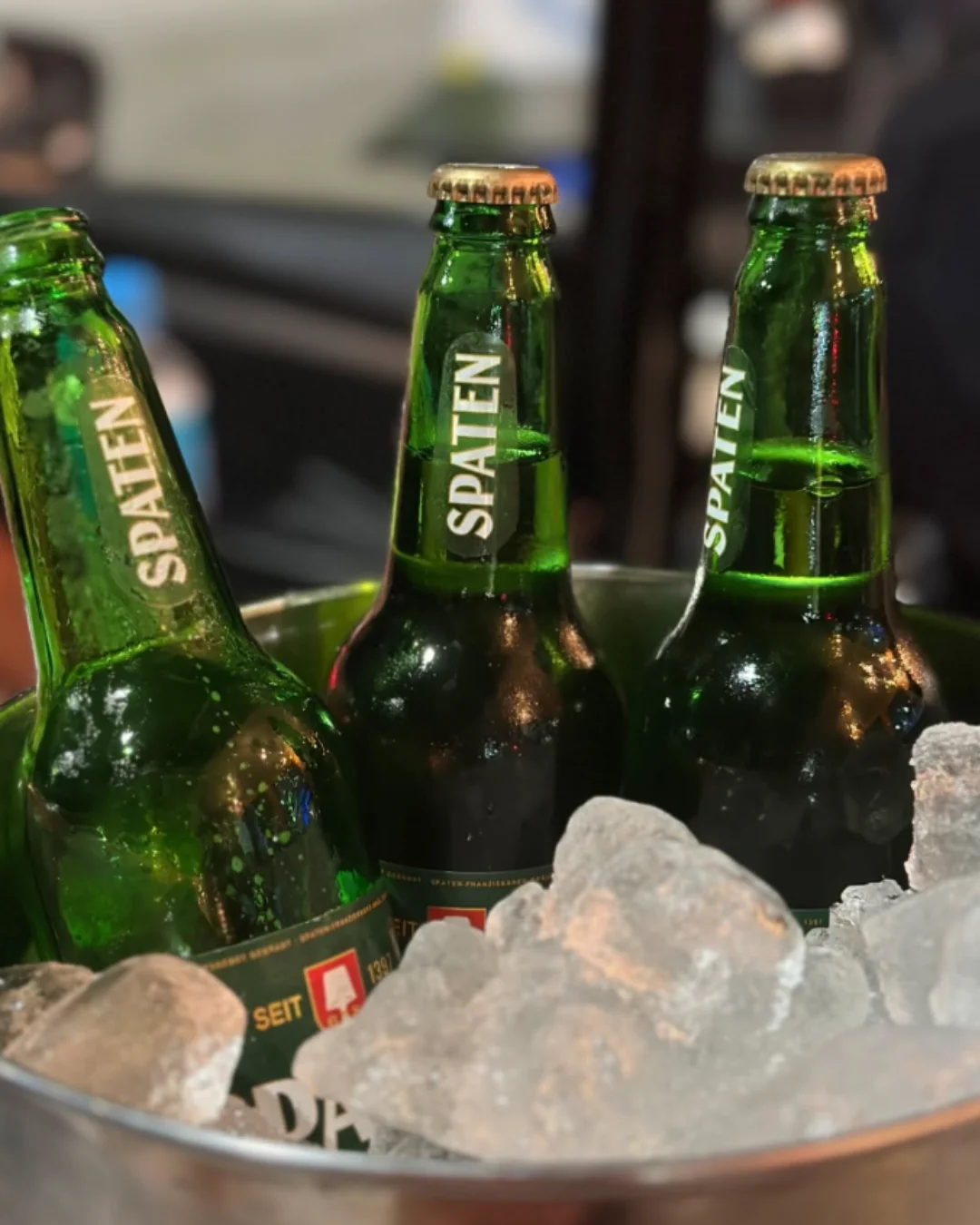 Balde de cerveja com gelo e garrafas Spaten e Heineken